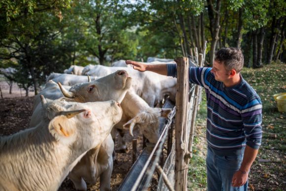 Simone Vagni, con la sua azienda agricola biologica di Cascia è il nuovo beneficiario per l’Umbria della campagna “Alleva la speranza”