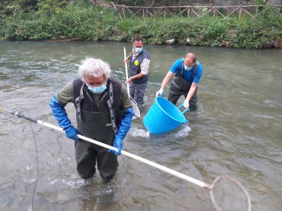 Monitoraggio fiume Nera Ferentillo maggio 2020