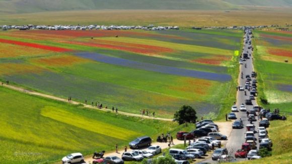 Fioritura di Castelluccio, servono soluzioni definitive e sostenibili e non interventi spot