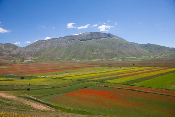 Fioritura di Castelluccio, al via la sperimentazione nei due week end di luglio verso una gestione sostenibile del Pian Grande