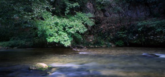 Confermato l’affidamento a Legambiente Umbria della gestione del patrimonio ittico, degli ecosistemi acquatici e delle Zone a regolamento specifico no kill della Valnerina per il biennio 2022 e 2023